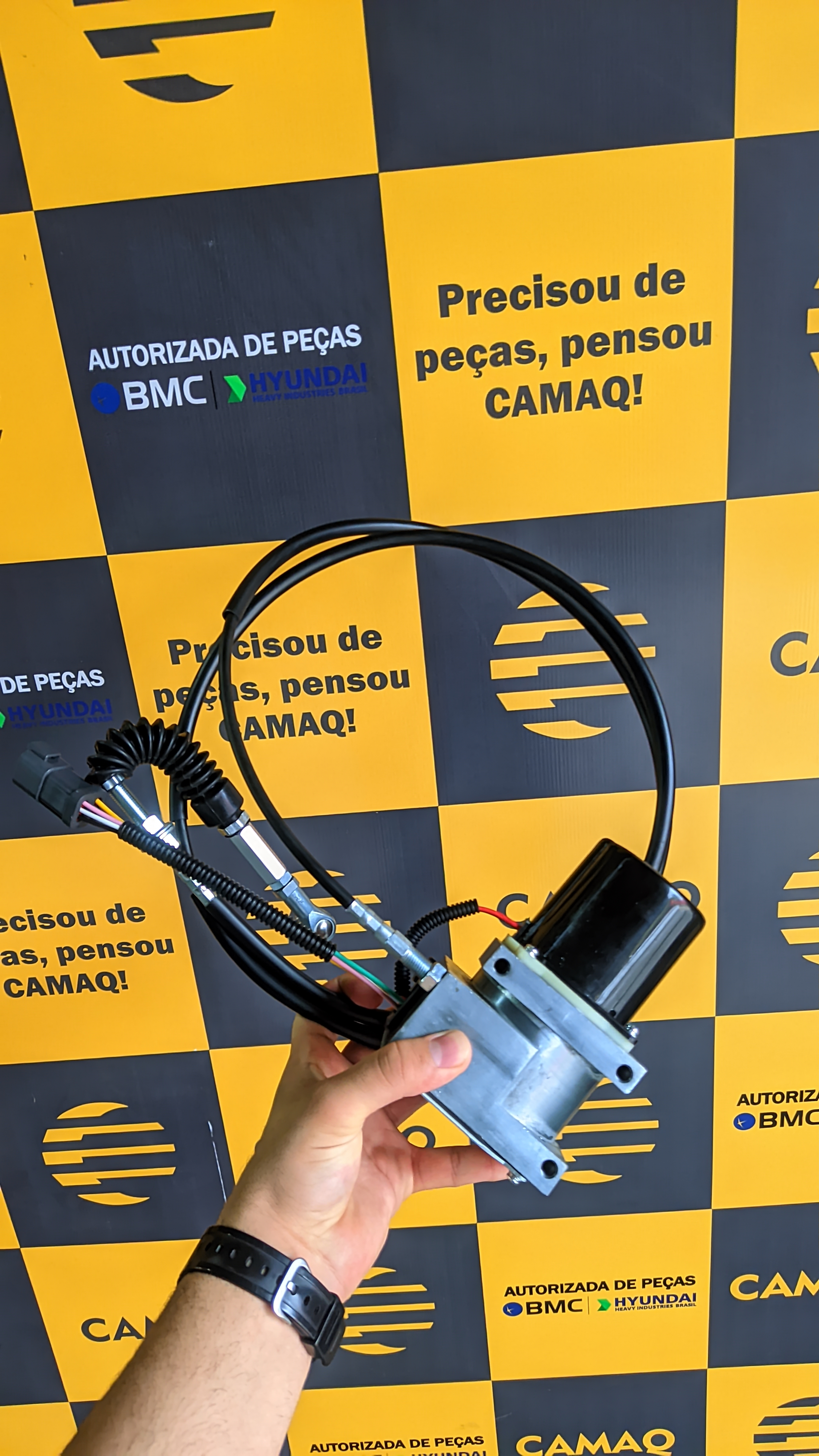 Botão de Aceleração e Motor de Passos R220