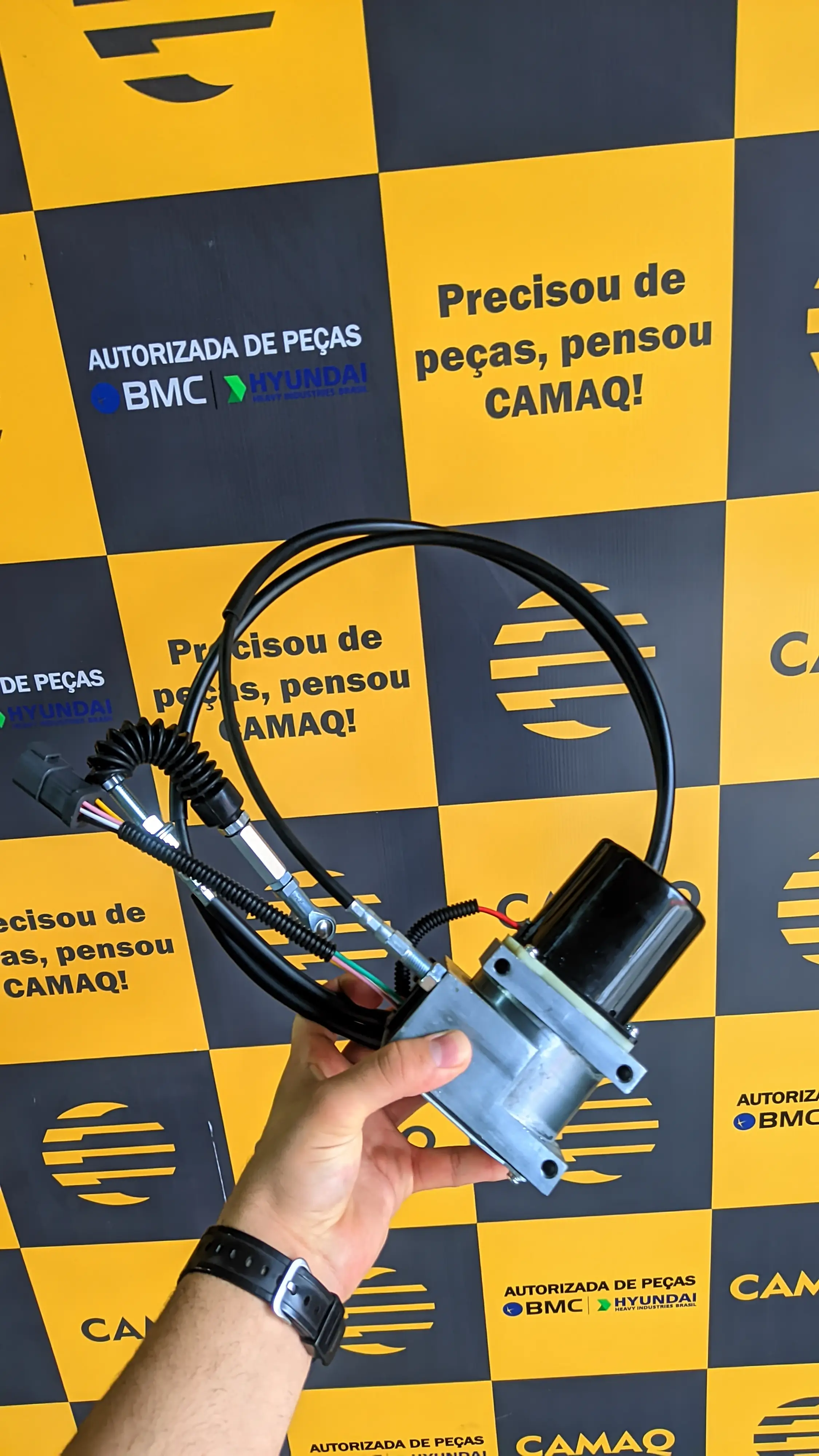 Botão de Aceleração e Motor de Passos R220